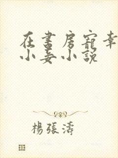 在书房宠幸夫人小妾小说