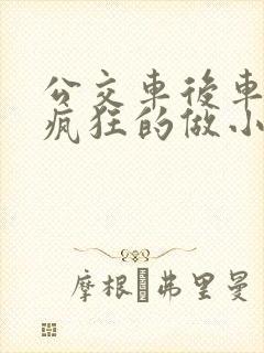 公交车后车座的疯狂的做小