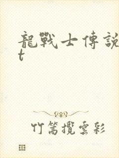 龙战士传说txt