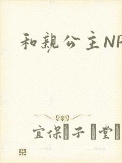 和亲公主NPC封面