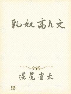 乳奴高h文