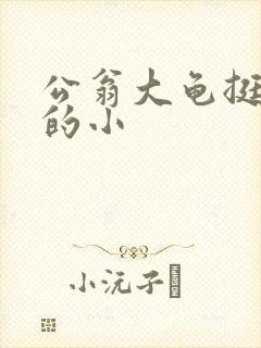 公翁大龟挺进我的小