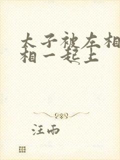 太子被左相和右相一起上