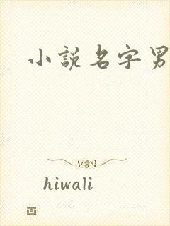 小说名字男生