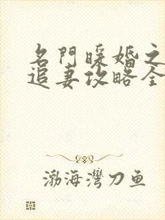 名门暖婚之权爷追妻攻略全文免费阅读