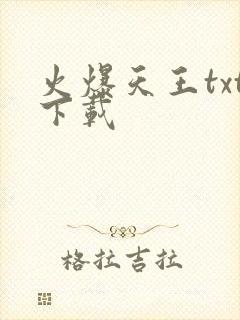 火爆天王txt下载封面