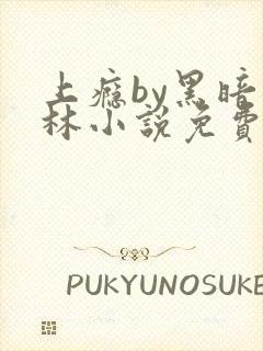 上瘾by黑暗森林小说免费