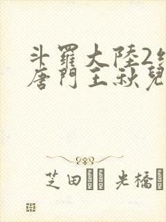 斗罗大陆2绝世唐门王秋儿封面