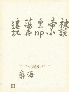 浪荡皇帝被多人玩弄np小说