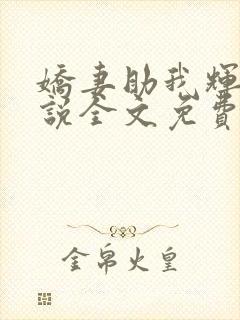 娇妻助我辉煌小说全文免费阅读封面