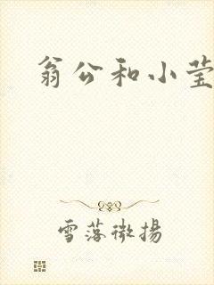翁公和小莹