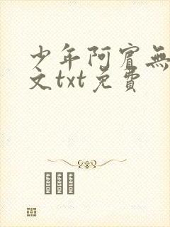 少年阿宾无删全文txt免费
