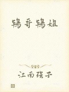 鸨哥鸨姐