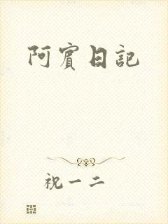 阿宾日记封面