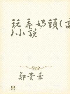 玩弄奶头(高h)小说