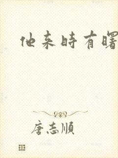 他来时有曙光封面