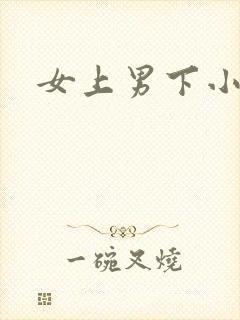 女上男下小说