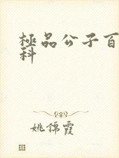 极品公子百度百科