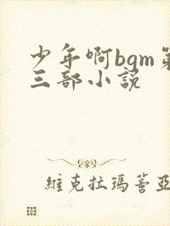 少年啊bgm第三部小说
