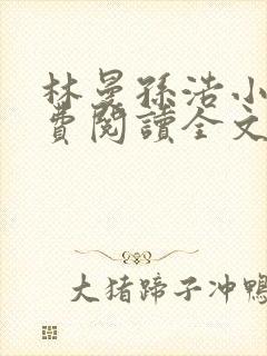 林曼孙浩小说免费阅读全文最新章节