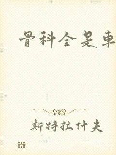 骨科全是车兄妹封面