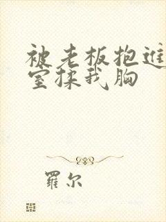 被老板抱进办公室揉我胸