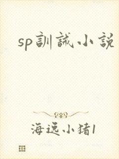 sp训诫小说封面