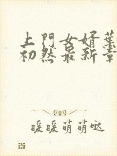 上门女婿叶辰萧初然最新章节