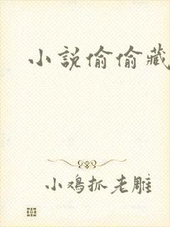 小说偷偷藏不住