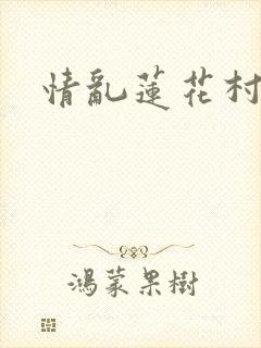 情乱莲花村封面