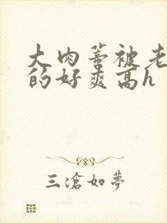 大肉蒂被老头嘬的好爽高h封面