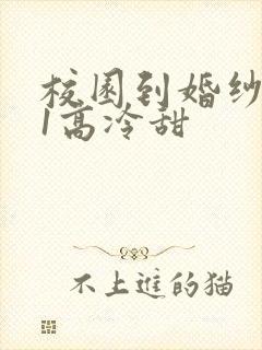 校园到婚纱1V1高冷甜