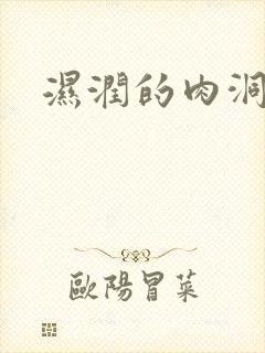 湿润的肉洞封面