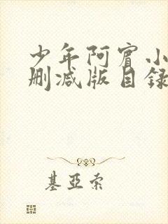 少年阿宾小说无删减版目录大全