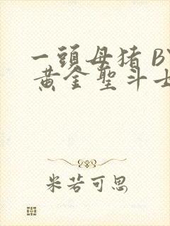 一头母猪 BY 黄金圣斗士封面