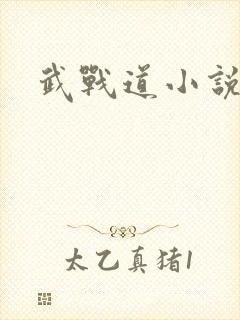 武战道小说
