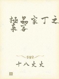 极品家丁之远方来客