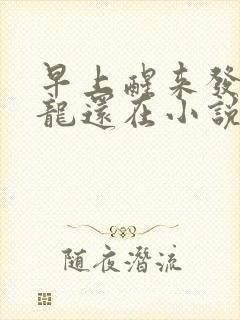 早上醒来发现巨龙还在小说