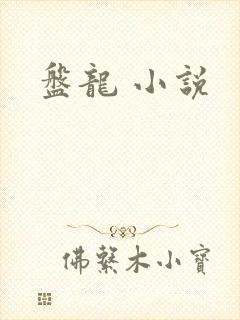 盘龙 小说