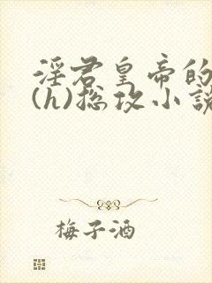 淫君皇帝的日常(h)总攻小说