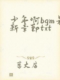 少年啊bgm最新章节txt