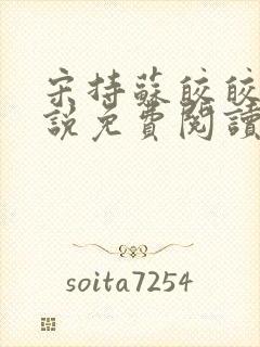 宋持苏皎皎的小说免费阅读