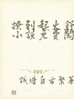 撩到起火舒漾的小说免费阅读全文封面