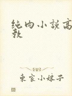 纯肉小说高h调教封面