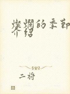 灿烂的季节剧情介绍