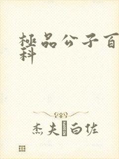 极品公子百度百科