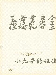 王爷书房含乳揉捏娇乳公主小说封面