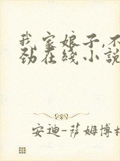 我家娘子,不对劲在线小说免费