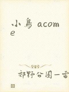 小鸟 acome