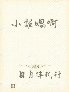小说嗯啊